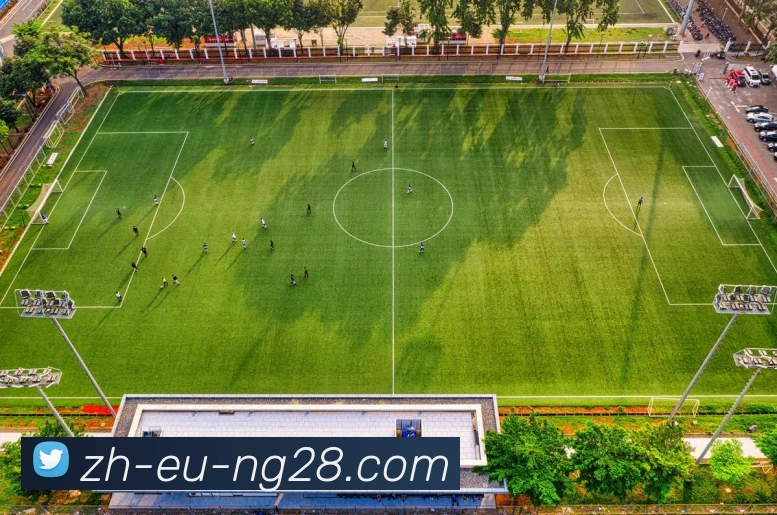 南宫NG28官网发展历程